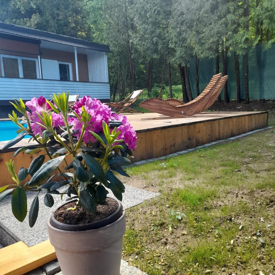 Bungalows Sonnenblume Am Klopeiner See Sankt Kanzian am Klopeiner See Bagian luar foto
