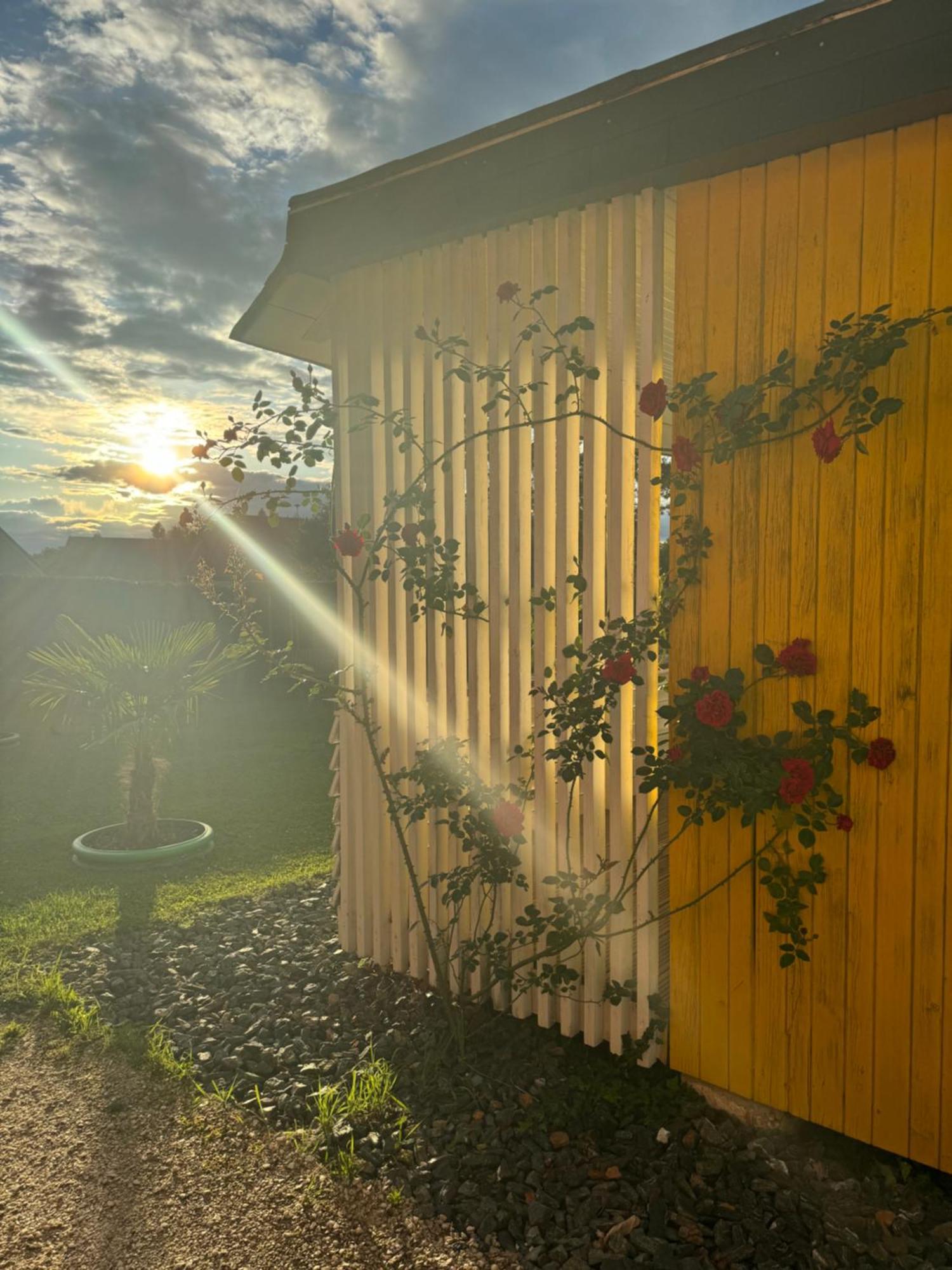 Bungalows Sonnenblume Am Klopeiner See Sankt Kanzian am Klopeiner See Bagian luar foto